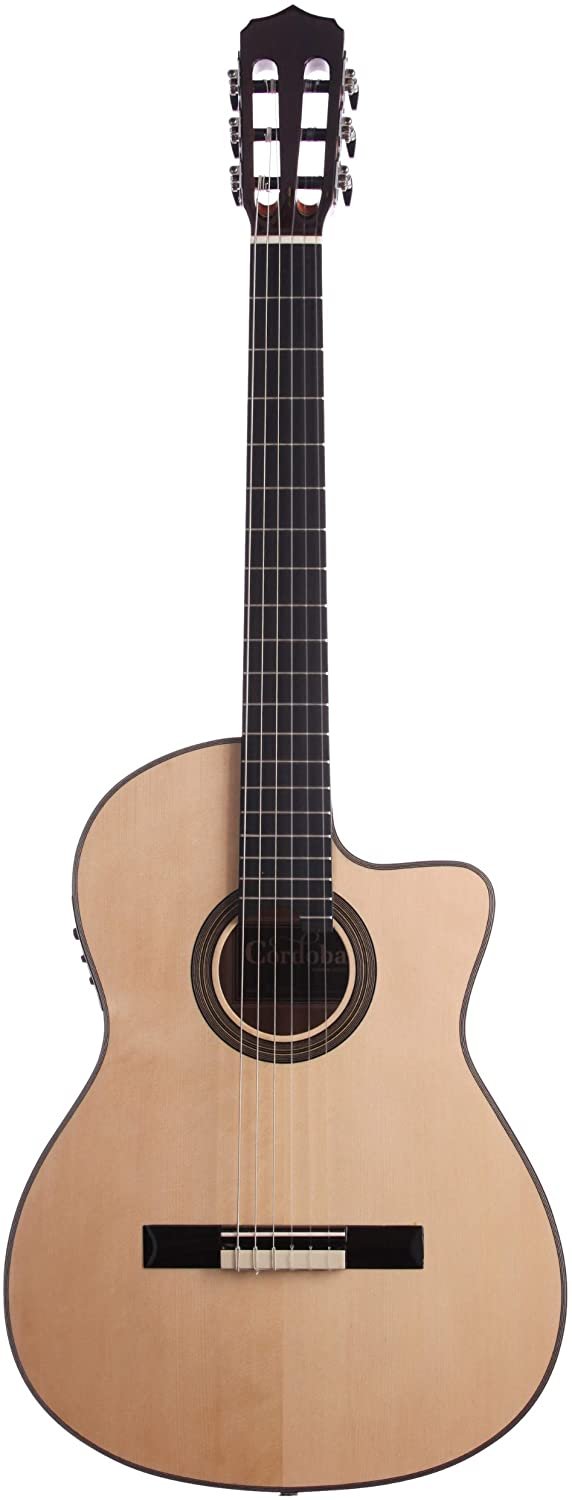 Chitarra Cordoba Fusion 12 Maple